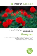 Elaeagnus