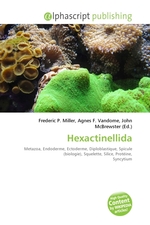 Hexactinellida