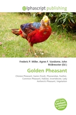 Golden Pheasant