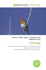 Cotinga