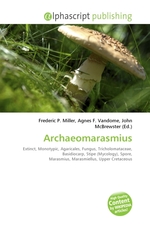 Archaeomarasmius