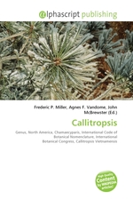 Callitropsis