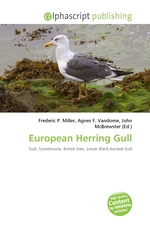 European Herring Gull