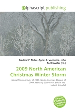 2009 North American Christmas Winter Storm