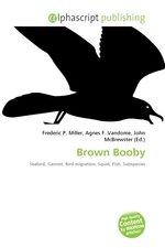 Brown Booby