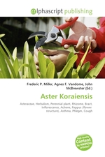 Aster Koraiensis