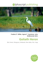 Goliath Heron