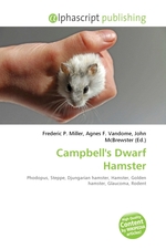 Campbells Dwarf Hamster