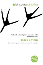 Black Bittern