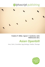 Asian Openbill