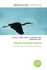 Black-necked Stork