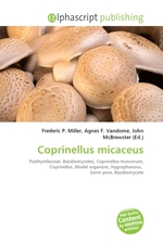 Coprinellus micaceus