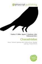 Charadriidae