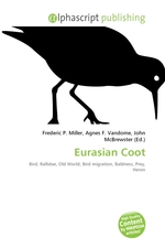 Eurasian Coot