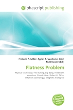 Flatness Problem