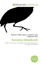 Eurasian Woodcock