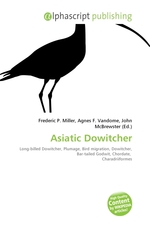 Asiatic Dowitcher