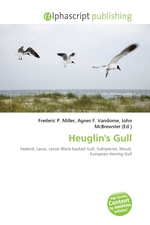 Heuglins Gull