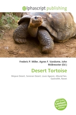 Desert Tortoise