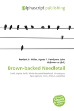 Brown-backed Needletail