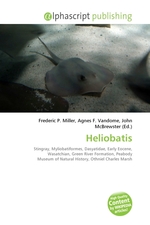 Heliobatis