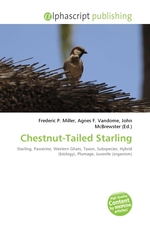 Chestnut-Tailed Starling