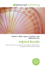 Adjoint Bundle