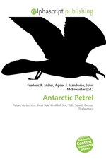 Antarctic Petrel