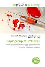 Haplogroup M (mtDNA)