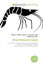 Branchinecta Gaini