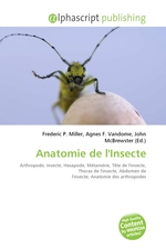 Anatomie de lInsecte