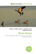 Bean Goose