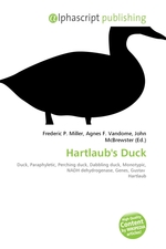 Hartlaubs Duck