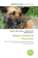 Belgian Shepherd (Tervuren)