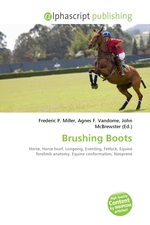 Brushing Boots