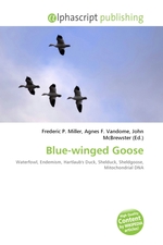 Blue-winged Goose