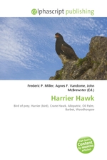 Harrier Hawk