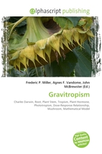 Gravitropism