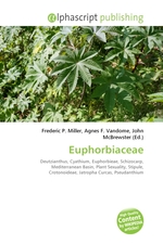 Euphorbiaceae