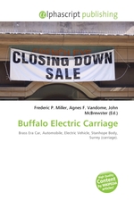 Buffalo Electric Carriage