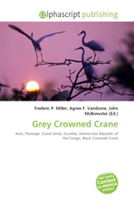 Grey Crowned Crane