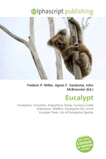 Eucalypt