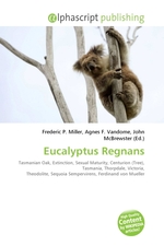 Eucalyptus Regnans