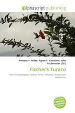 Fischers Turaco