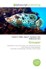 Grouper