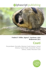 Coati