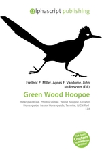 Green Wood Hoopoe