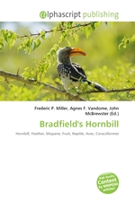 Bradfields Hornbill