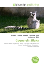 Coquerels Sifaka