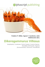 Dikerogammarus Villosus